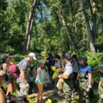 Madblue Limpieza de ríos